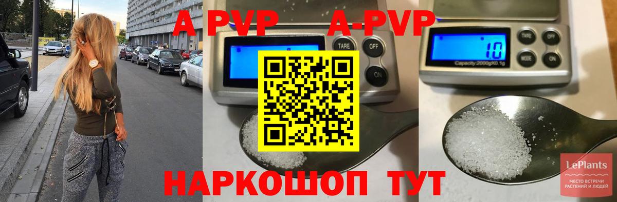 A PVP СК Соль-Илецк