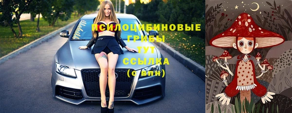 индика Белоозёрский