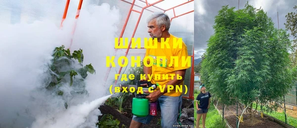индика Белоозёрский