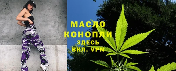 индика Белоозёрский
