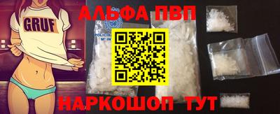 СК Кингисепп