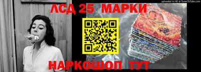 СК Кингисепп