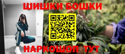 СК Кингисепп
