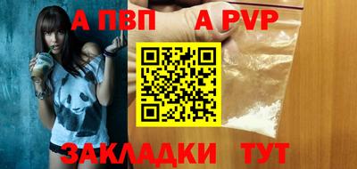 СК Кингисепп