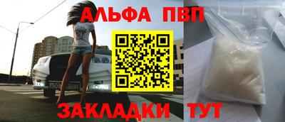 СК Кингисепп