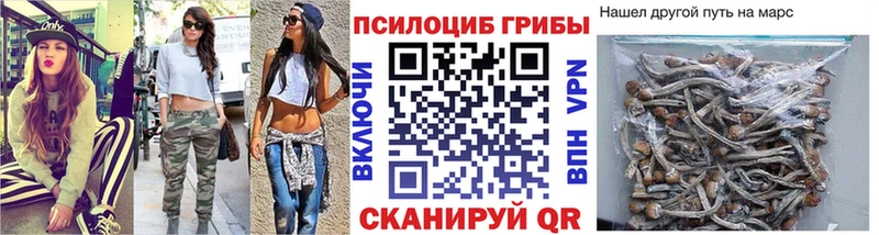 Псилоцибиновые грибы Psilocybine cubensis где найти наркотики Соль-Илецк