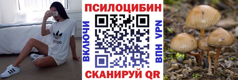 Галлюциногенные грибы Psilocybine cubensis Соль-Илецк