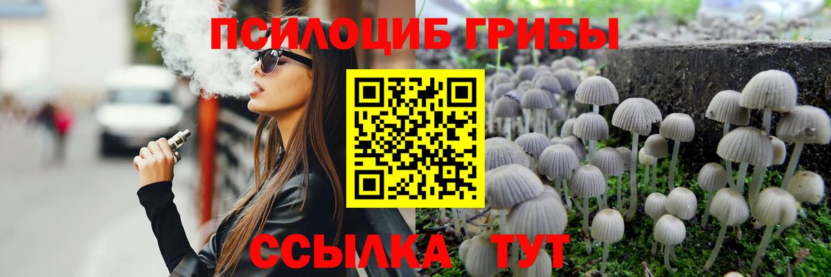 Галлюциногенные грибы Cubensis  Вход с VPN  купить  сайты  Соль-Илецк 