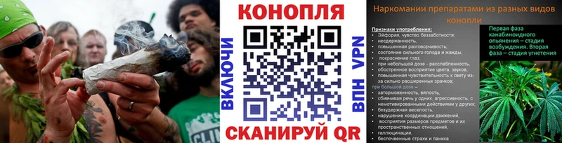 Шишки марихуана Bruce Banner даркнет сайт Соль-Илецк